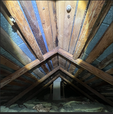 Näyttökuva 2025-03-24 182744