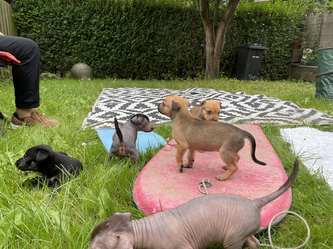 8EECE72E-E8AE-4328-AEF7-63E14FEA1658