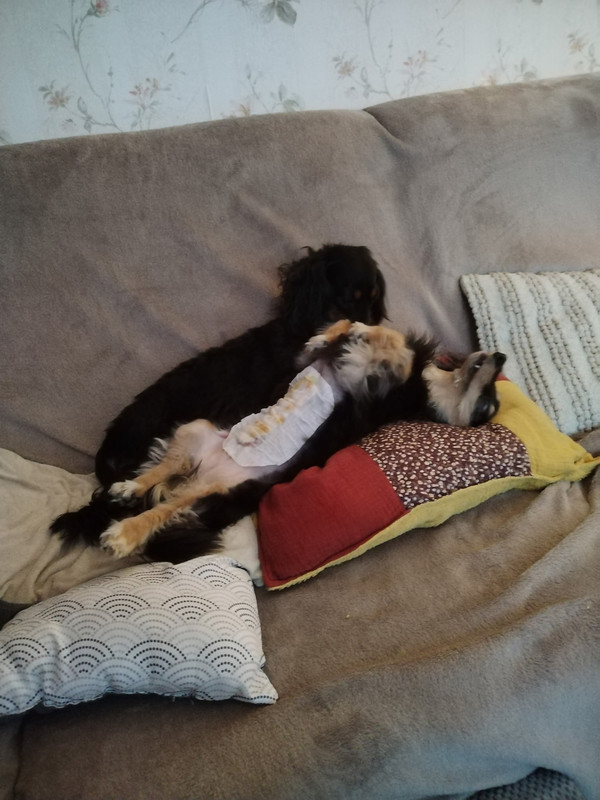 [Image: image0000001.jpg]