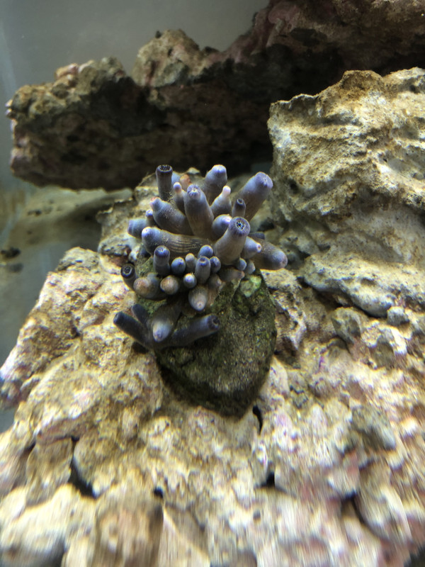 22418C43-F9EE-4098-ABF5-36DCB3131A39