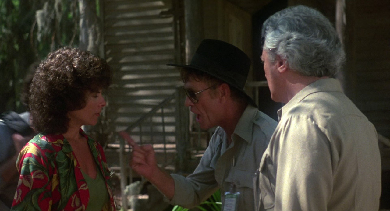 Swamp Thing 1982 (1080p x265 10bit Tigole).mkv_snapshot_00.14.31