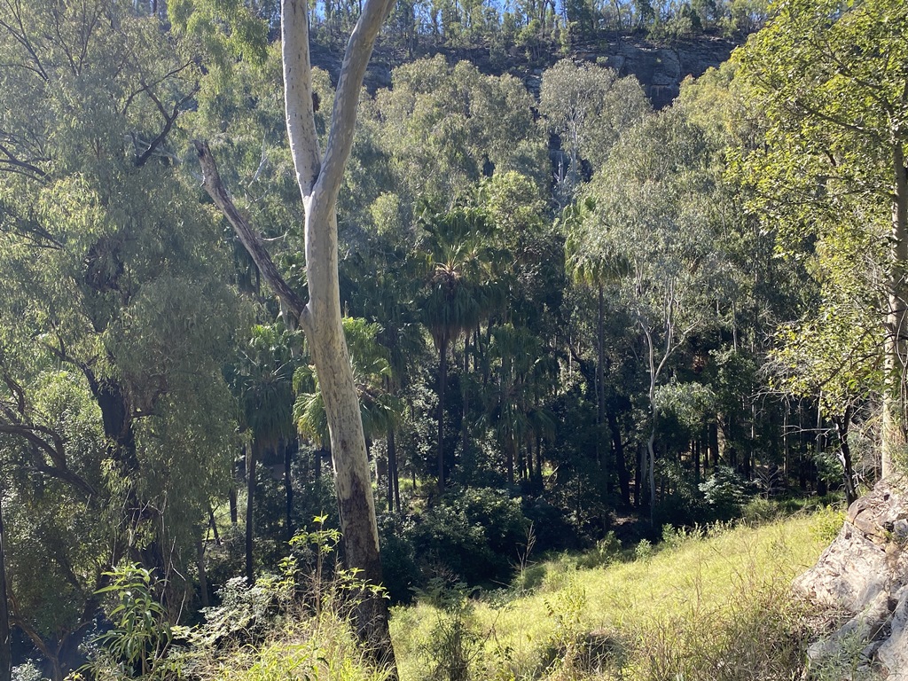 2022 (Jun) - Central (Nth) Qld Solo Trip(web) (105)