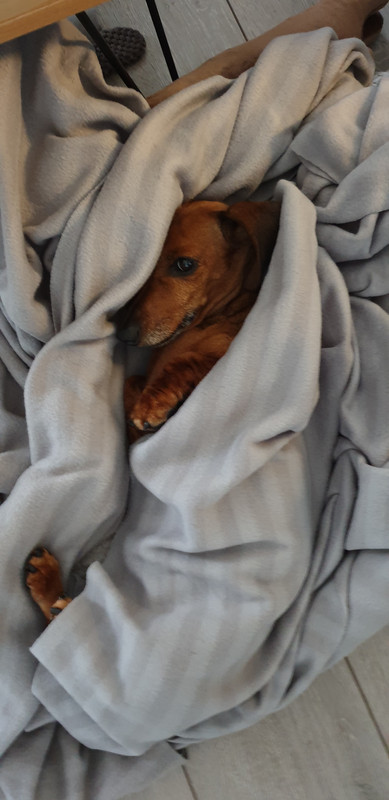 [Image: 20201006-174841.jpg]