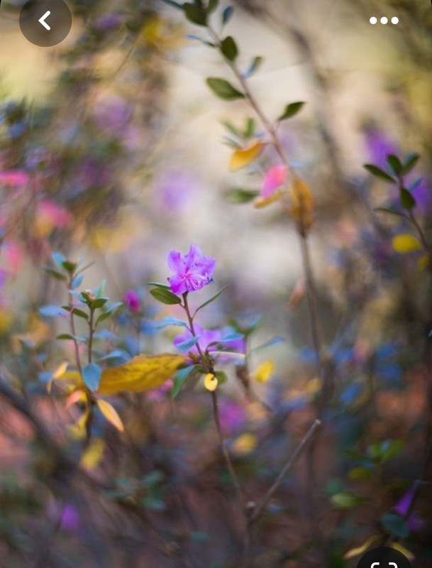 Screenshot_20230816_234855_Pinterest