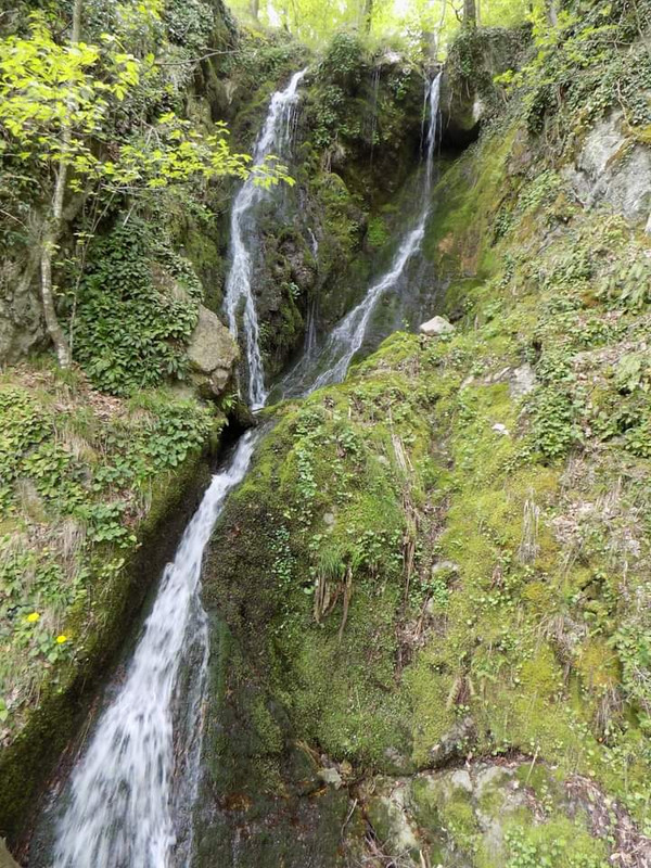 FB_IMG_1620197519868