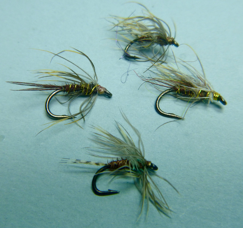 Golden Plover softies - 1