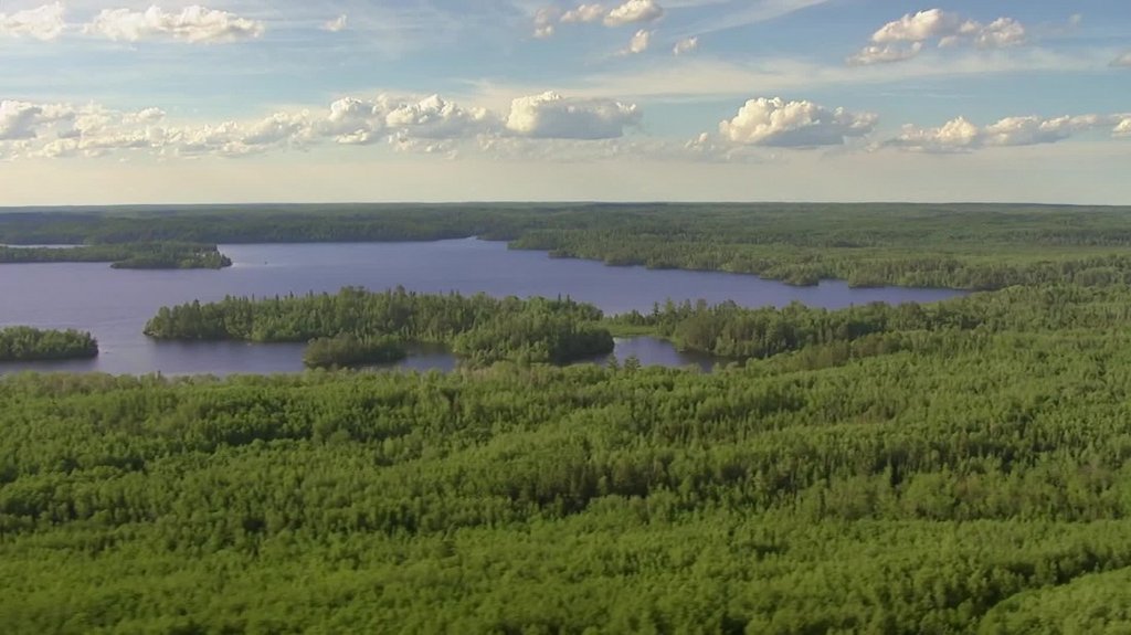 [Image: ob1t00wvnk7d.jpg]