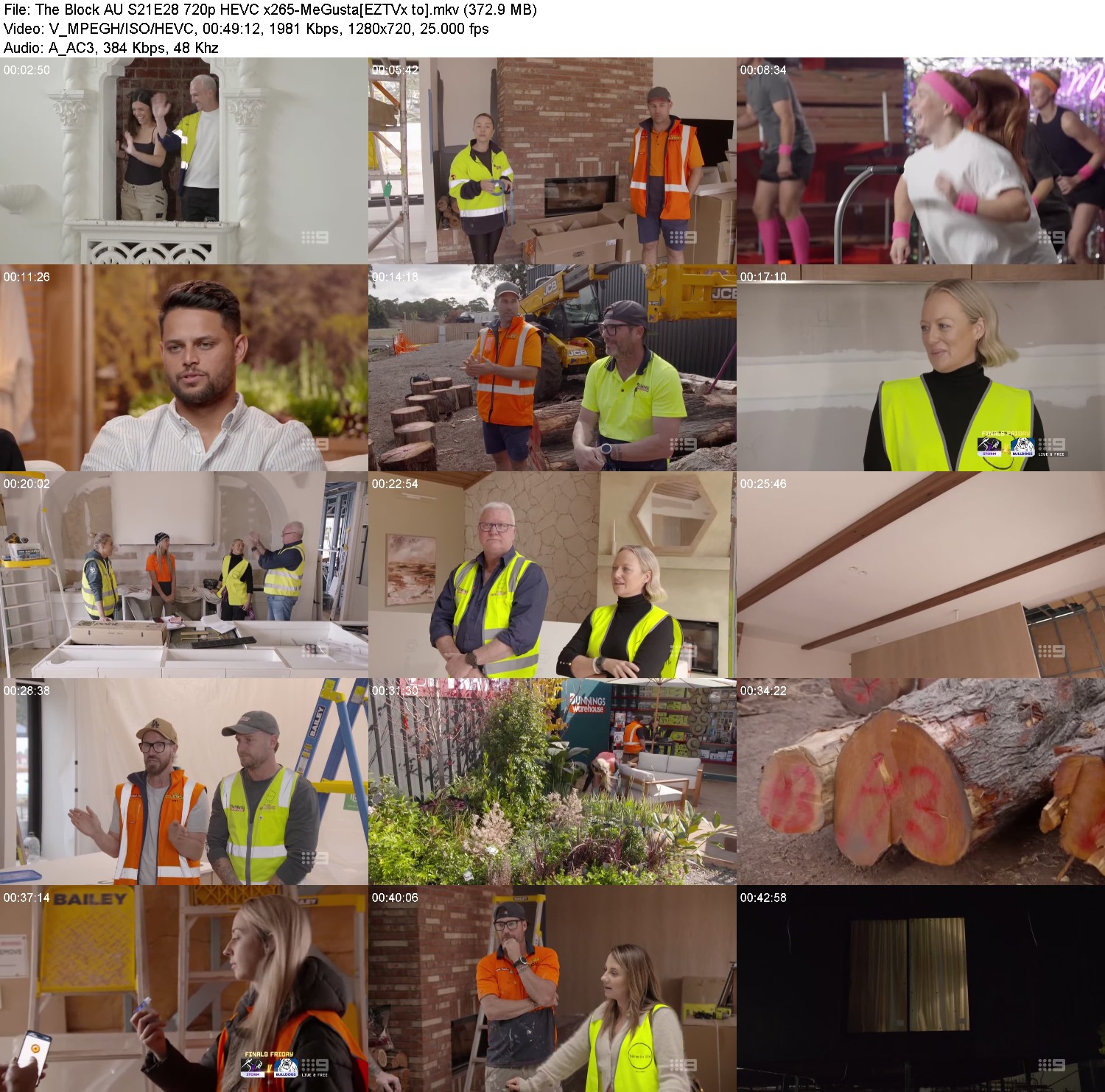 [Image: u99xlnft5kv8.jpg]