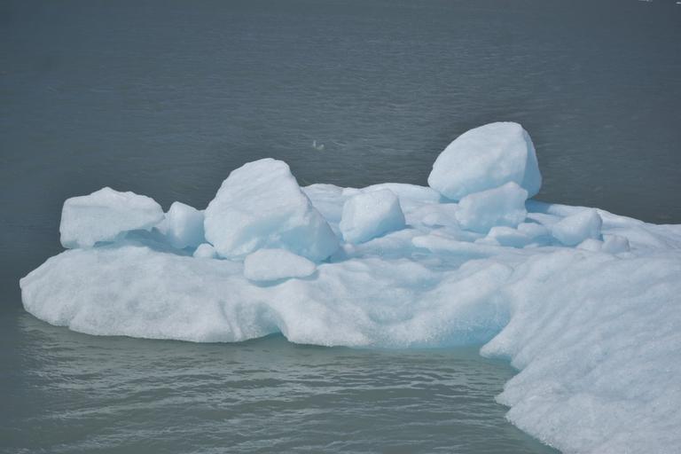В джазе только девушки или аргентинско-бразильский калейдоскоп В джазе только девушки или аргентинско-бразильский калейдоскоп