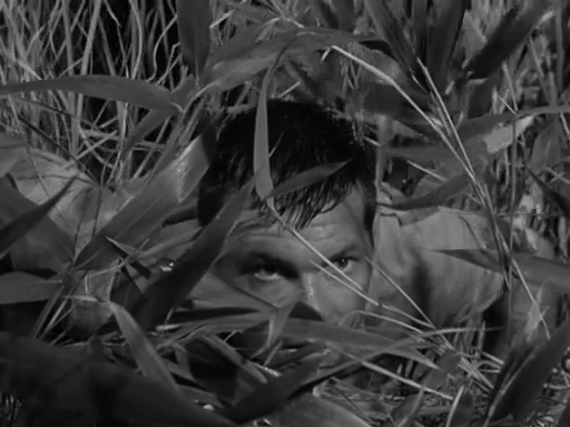 [Image: uam1oa12doc1.png]