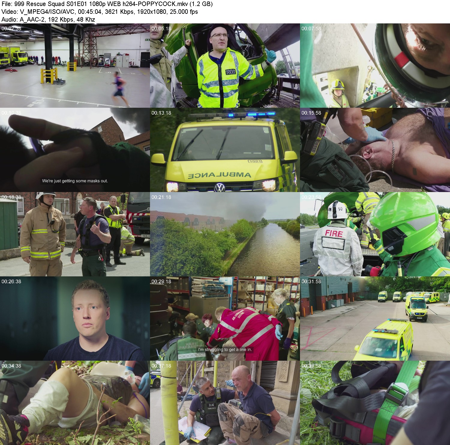 [Image: e5bbq95ex7yp.jpg]