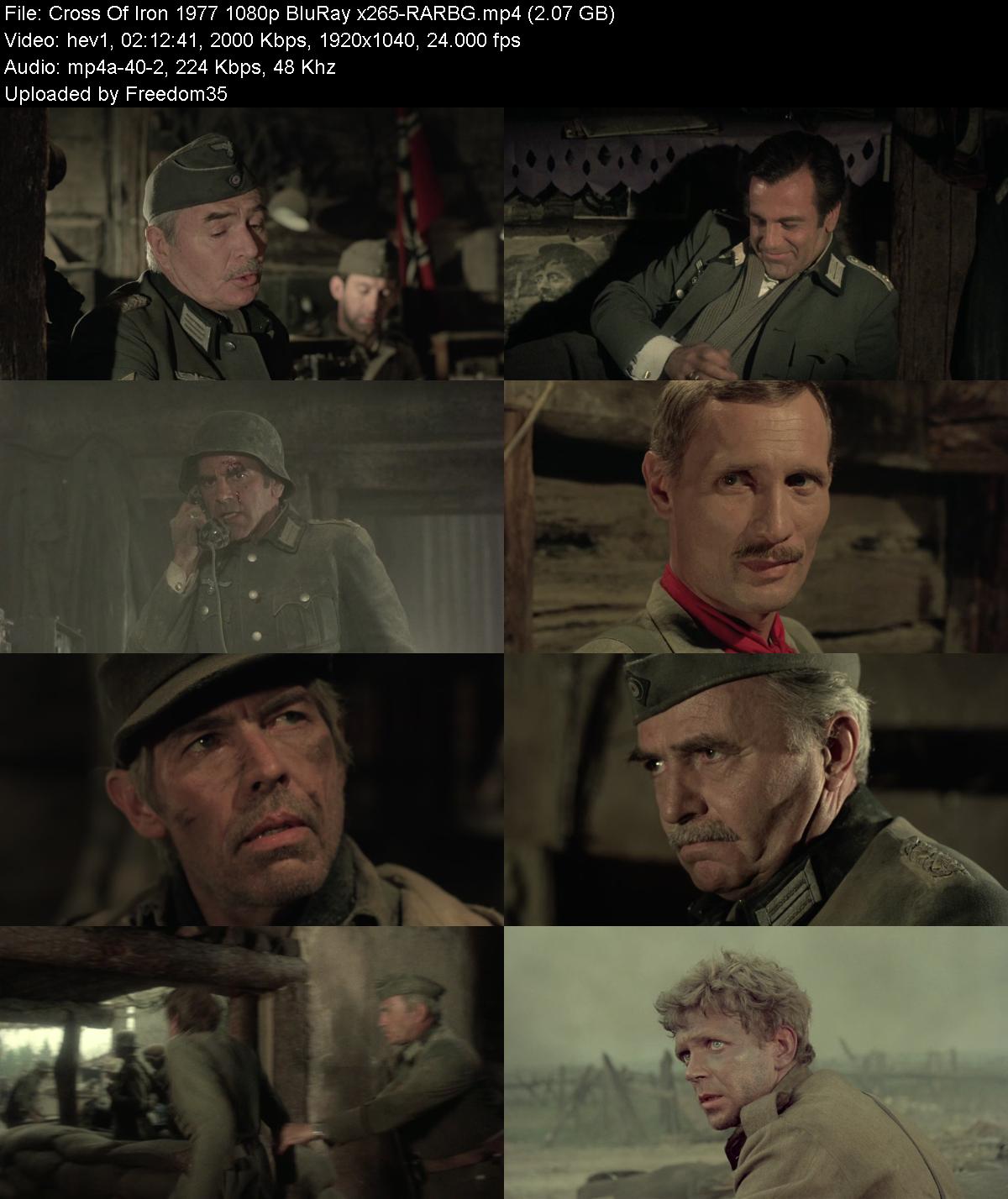 Cross-Of-Iron-1977-1080p-Blu-Ray-x265-RA