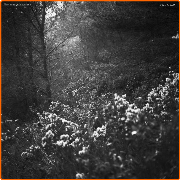 [Image: e0p5g0tuue6v.png]