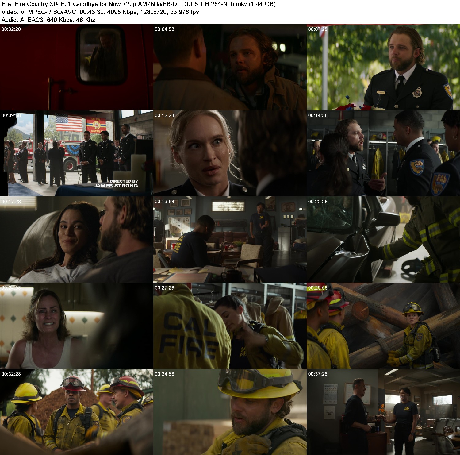 [Image: w9d2lvuji79g.jpg]