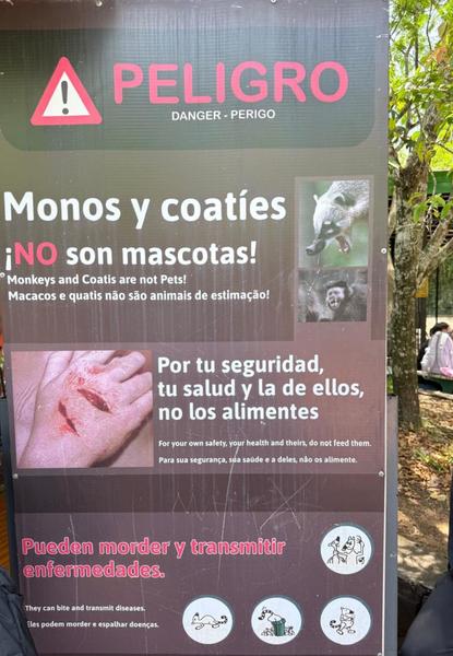 В джазе только девушки или аргентинско-бразильский калейдоскоп В джазе только девушки или аргентинско-бразильский калейдоскоп