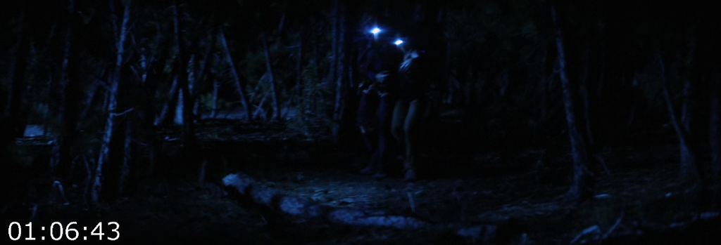 [Image: 03m9ercdtr8d.png]