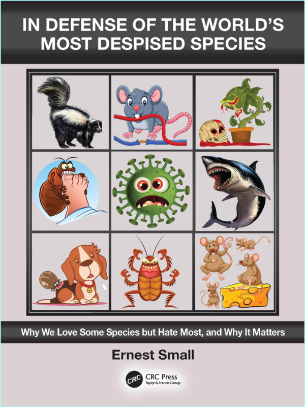 [Kép: uutzmc5u30l1.png]