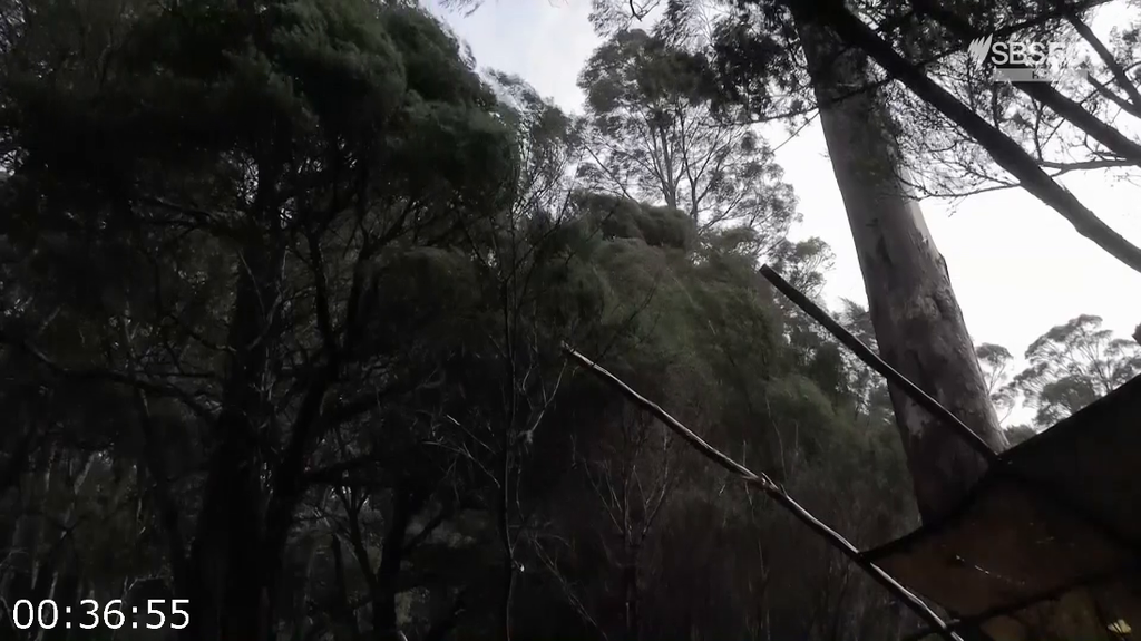 [Image: 2aqfk3vne3w0.png]