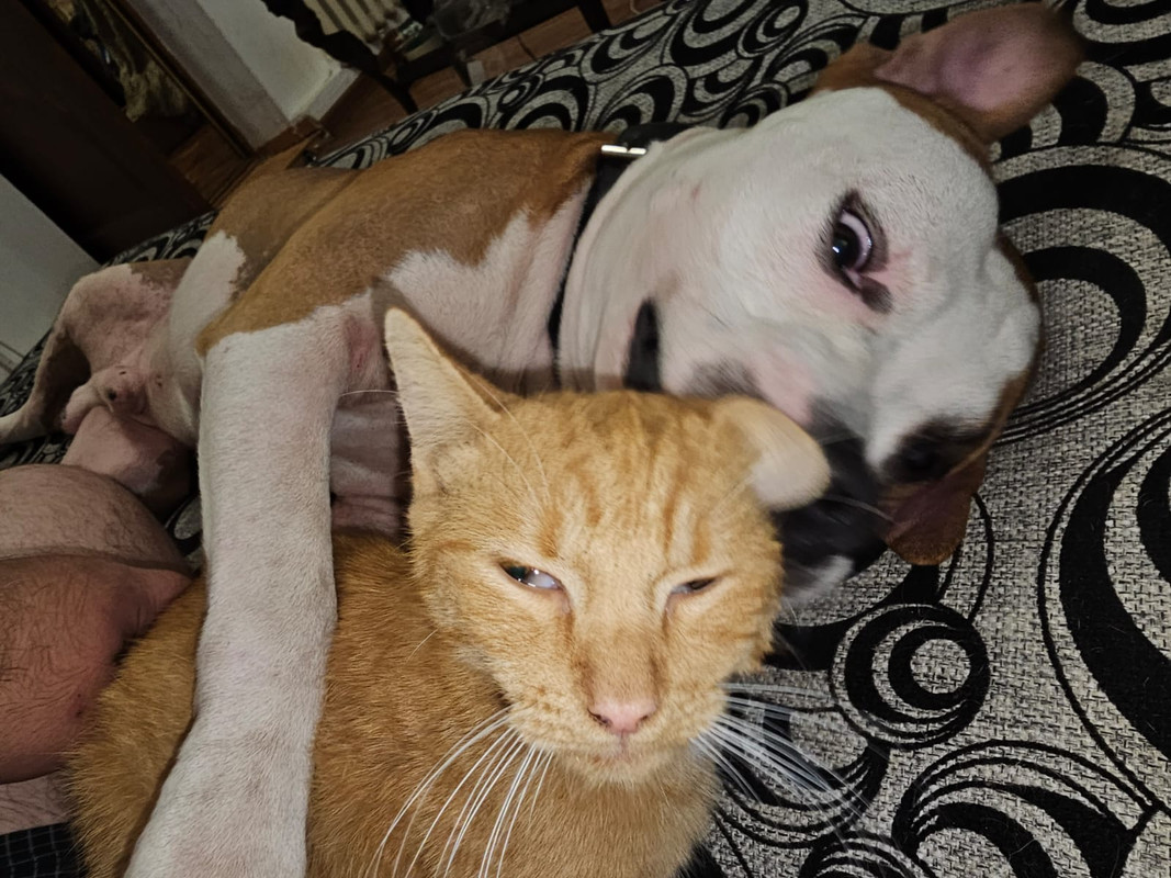 WhatsApp Image 2024-01-20 at 19.47.57 (1)