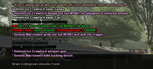 samp-29-04-2023-16-42-25-2.png