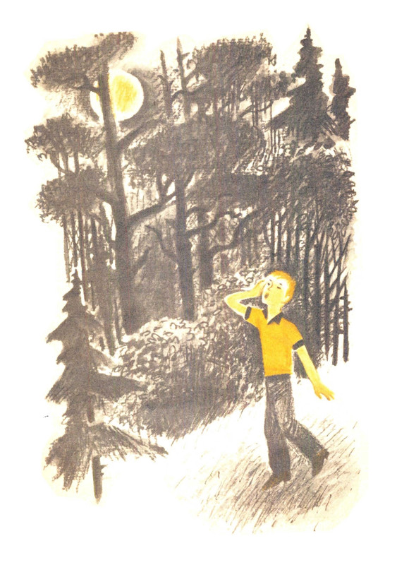 Чаплина В. В. - Крылатый будильник - 1986_page-0011