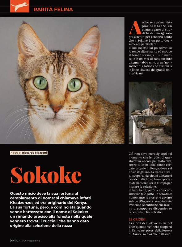 Ga Ma Giu-Lug 2022 (5)