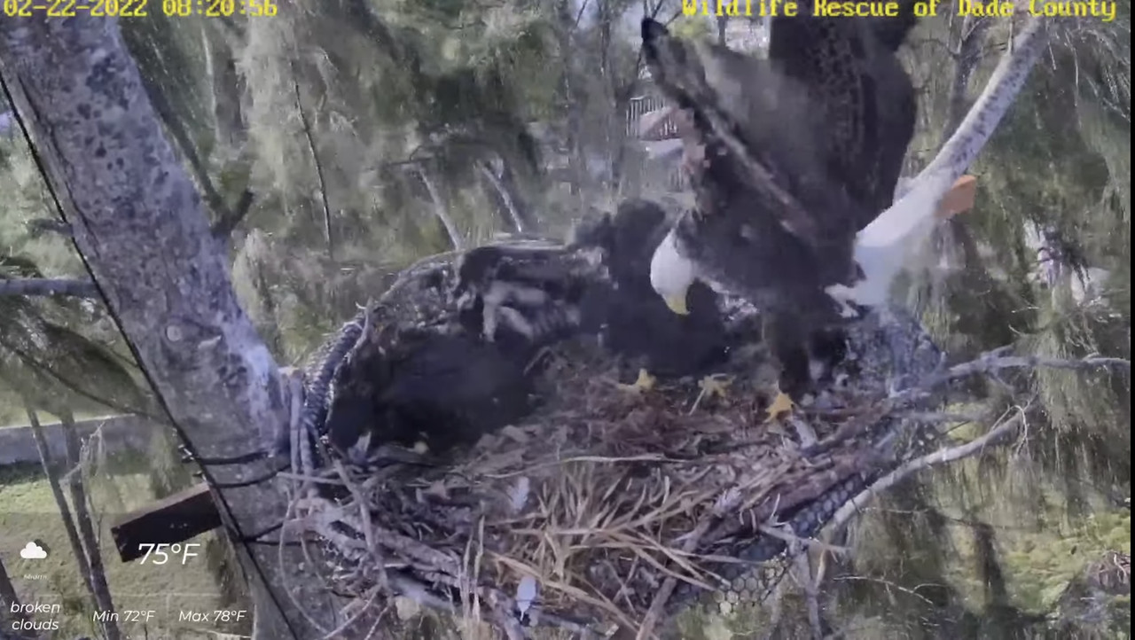 7EEF20DF-A0B6-4368-83A5-047138912D1F