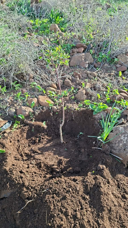 619064239-637260489472264-8962449966875348357-n