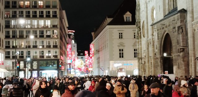 Adios Praga, hola Mercado del Ayuntamiento de Viena y concierto - Viena - Bratislava - Praga, Navidad 2024 (21)