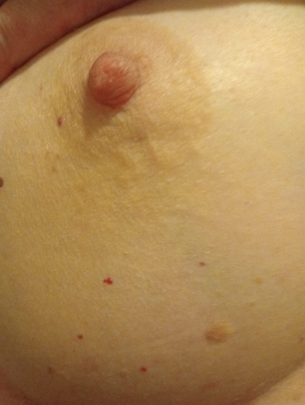 IMG20240923152834_BURST001_COVER