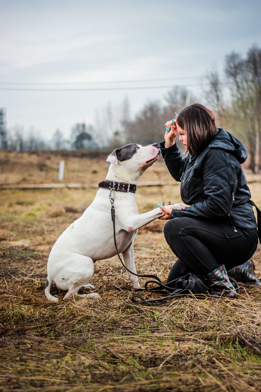 без имени-1098