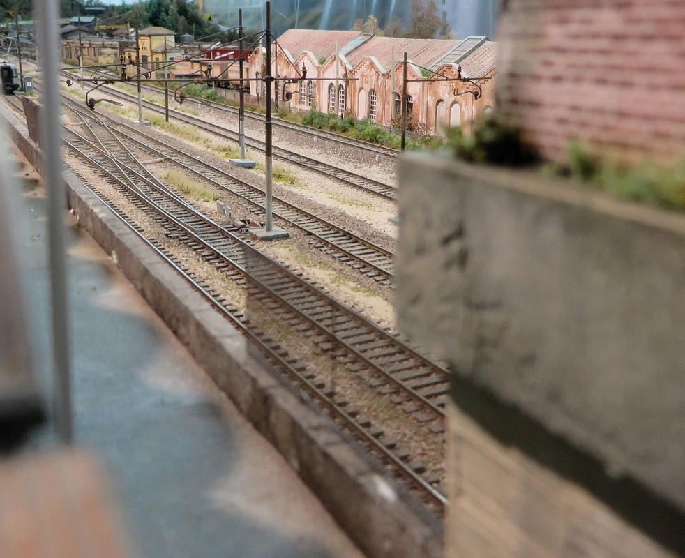 Boscoscuro 3 8 22 (2)