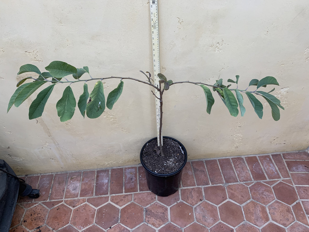 A2C17BB1-5E95-44CD-9387-48DA4B656146