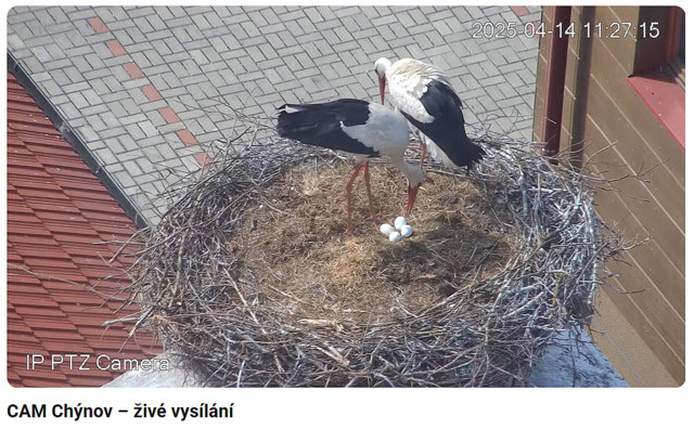 Przechwytywanie w trybie pełnoekranowym 14.04.2025 132346