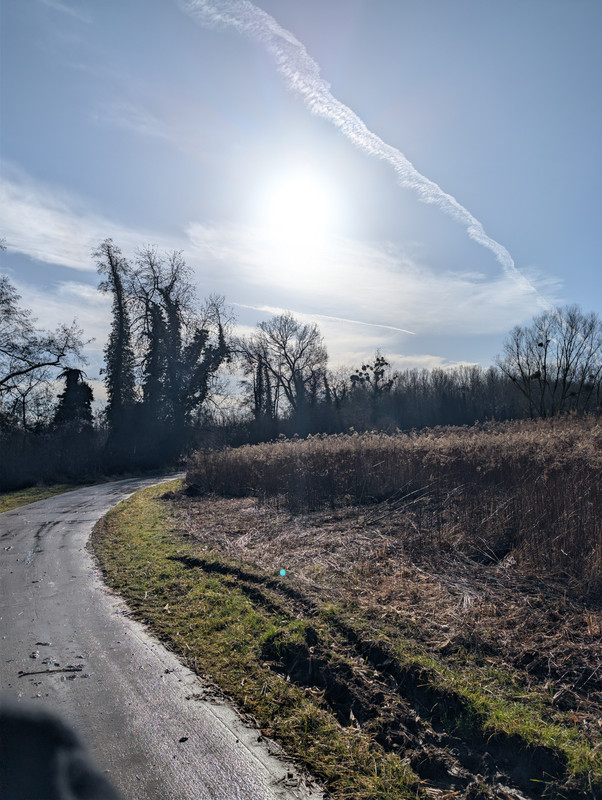 PXL 20260207 100634325