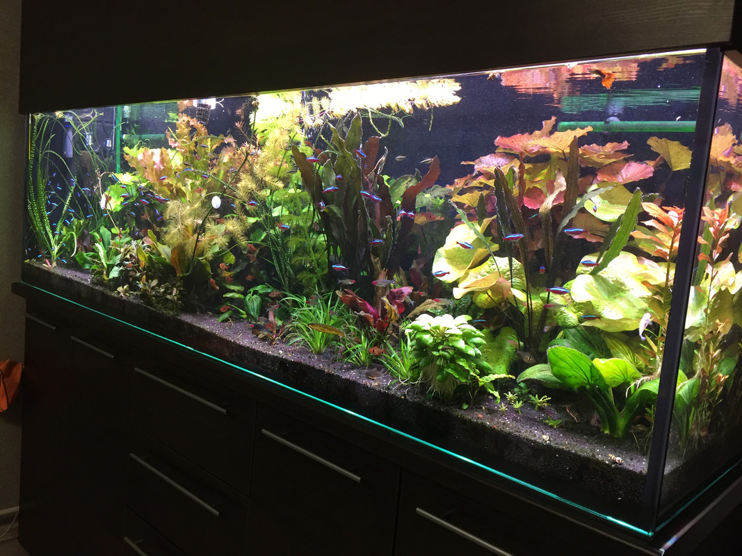 20080518-F24D-4EFB-B8C0-547838CCE6BC