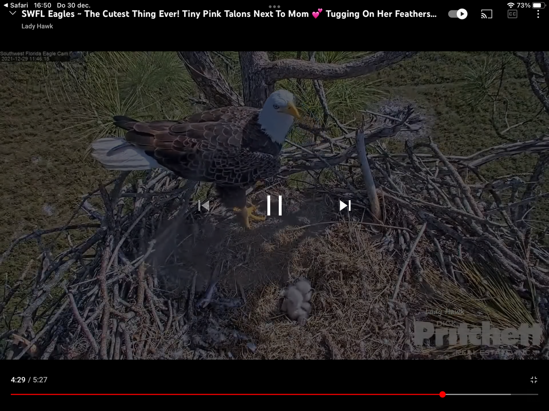 6CAEA4B4-238F-4B6B-A039-1F08DDD7E374