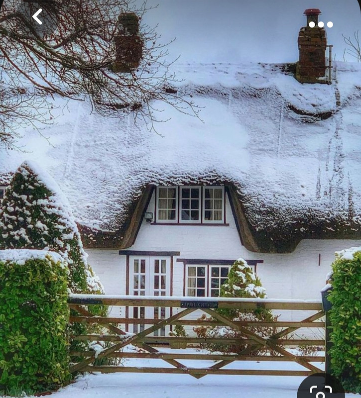 Screenshot_20231023_223336_Pinterest