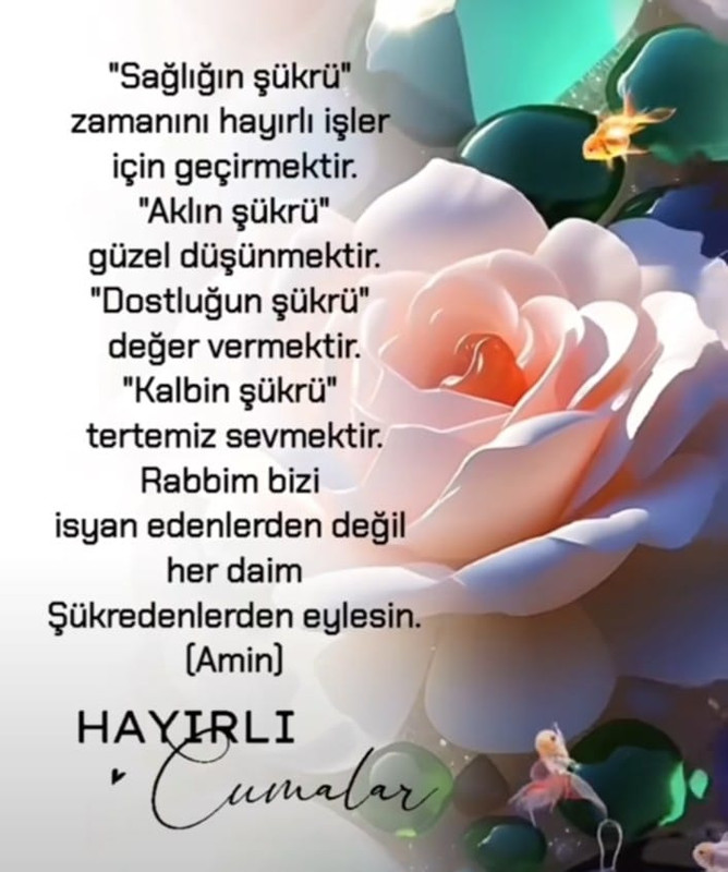 Whats App Image 2026 06 04 at 20 42 26