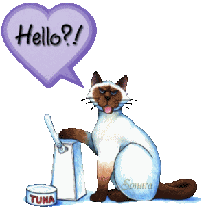 Cat_Hungry