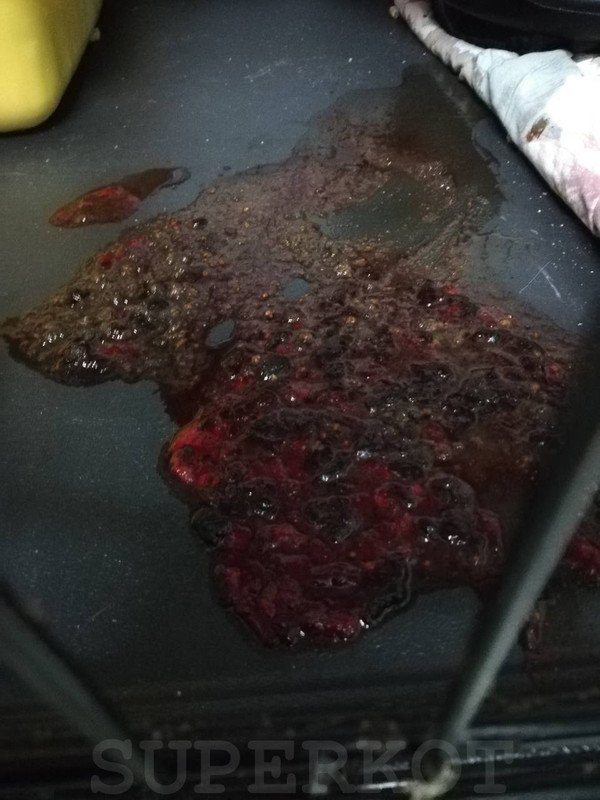 watermarked - ogonek1 (1)