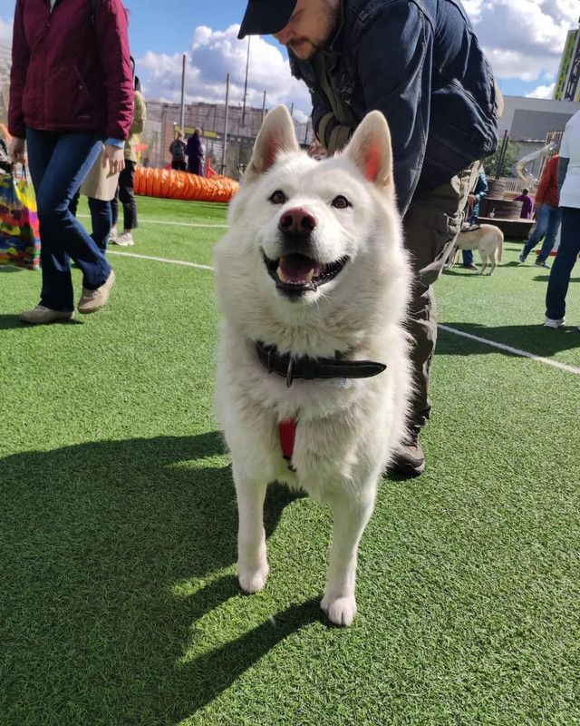 WhatsApp Image 2022-09-03 at 14.06.18 (3)