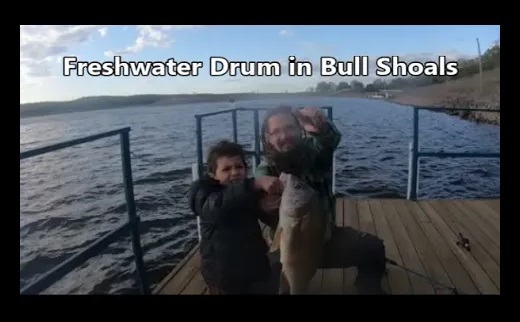 drum.jpg