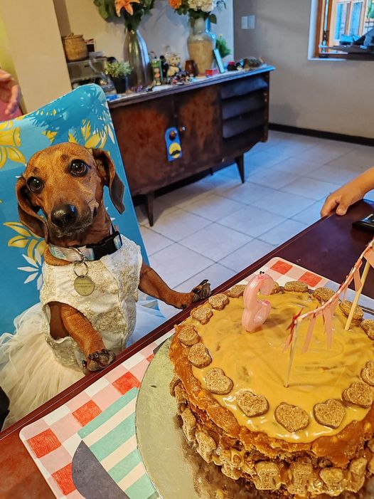 [Image: 411439935-24548253514789279-365794577883723001-n.jpg]