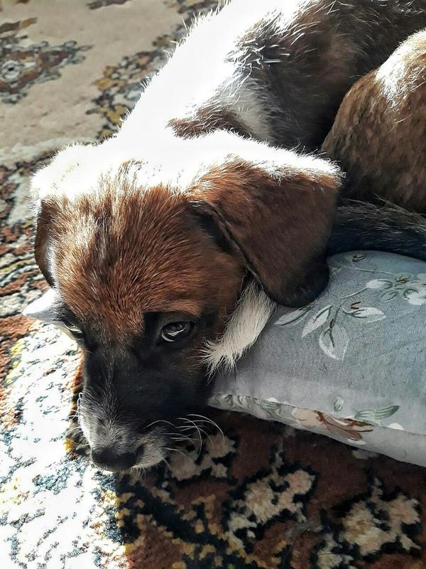 801D9A4B-3386-43AA-8596-66195E89752A