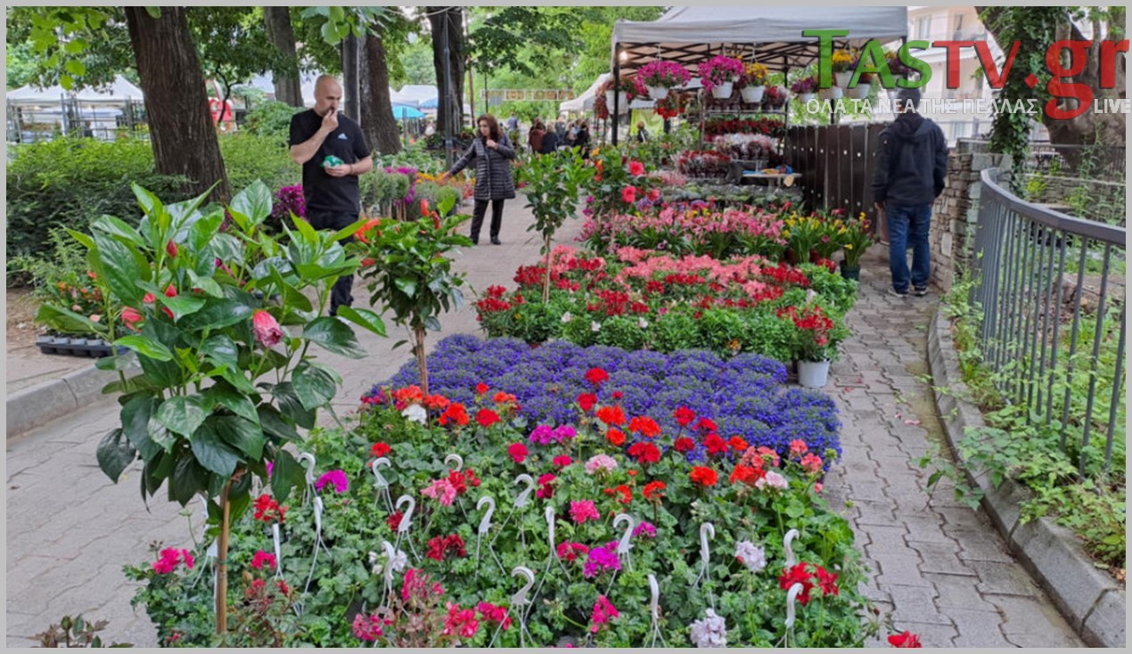 2025-05-09-234854-LGO