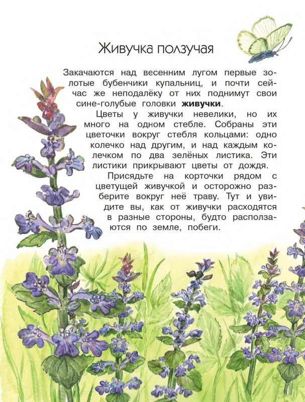 Onegov-Anatolij-Pochemu-kukushka-slozki-lot-page-0015