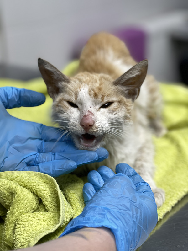 026D605D-12F0-48DA-BBEF-29624746A55B