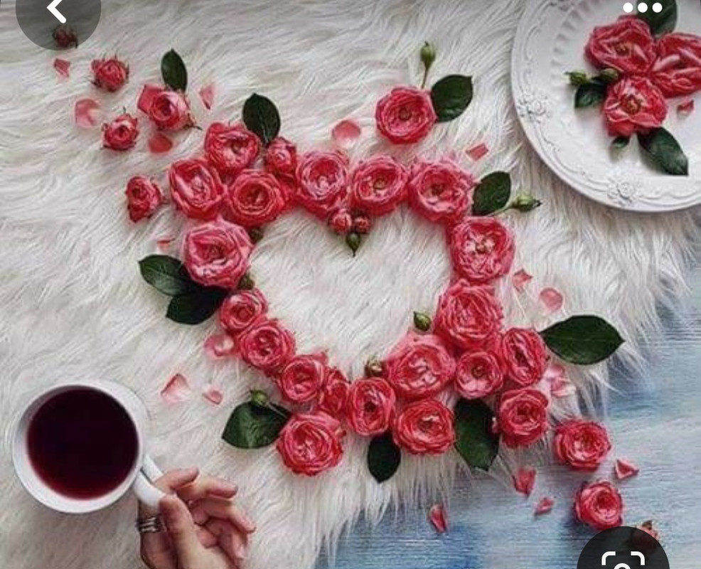 Screenshot_20240206_193108_Pinterest