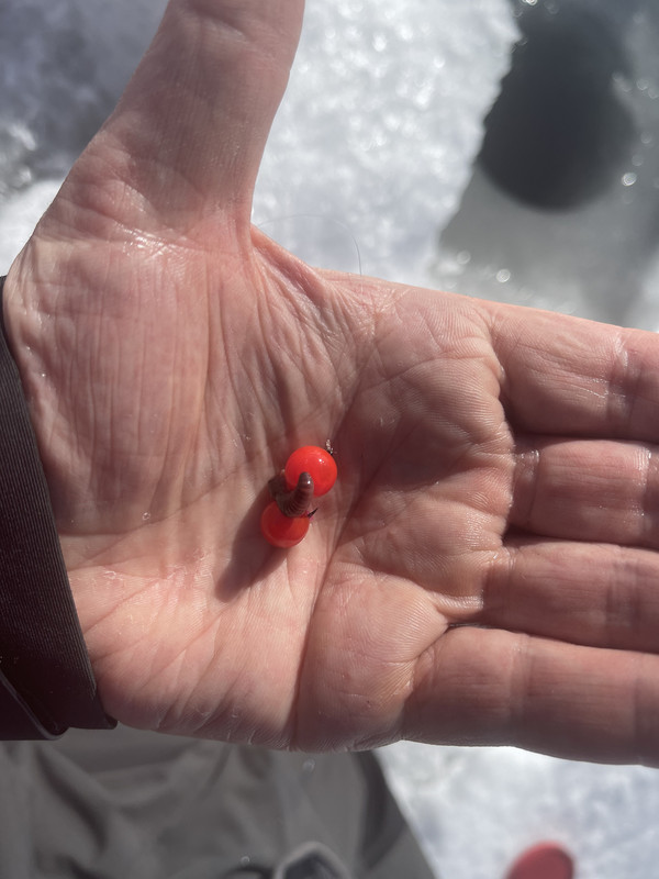 66F88FB9-51A3-4231-8935-876E4FD5791D